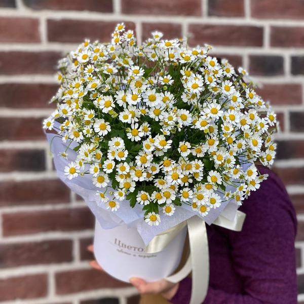 Композиция из матрикарии " For Loves one"